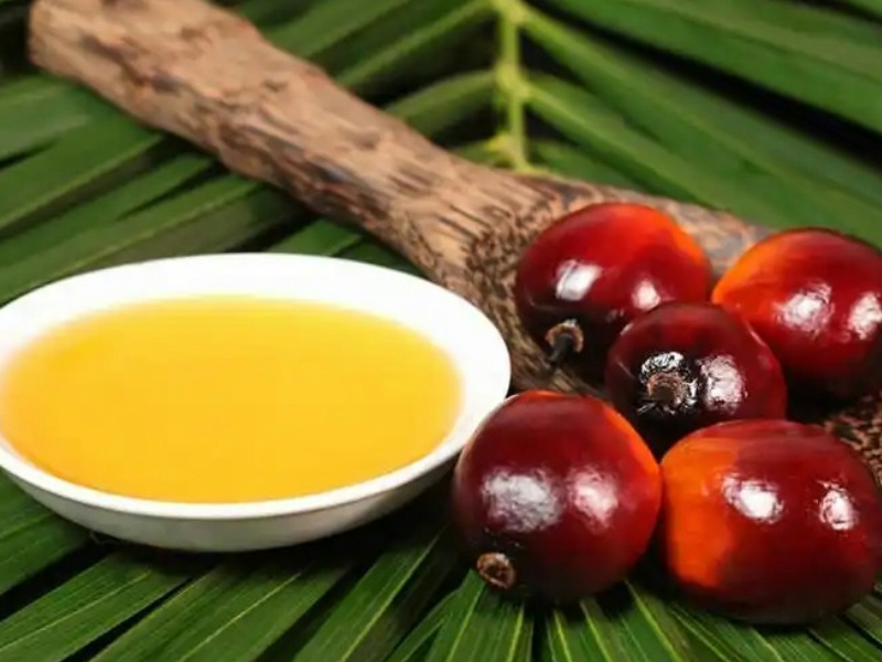 Palm oil