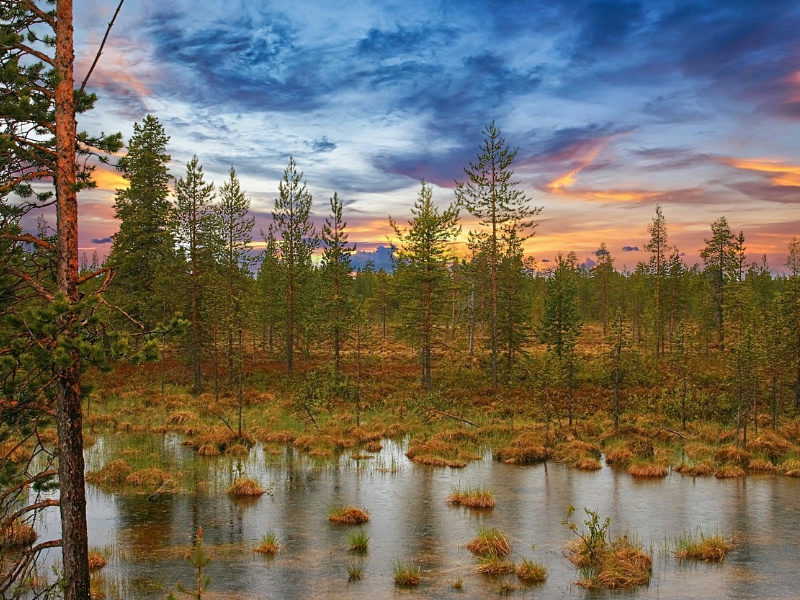 The global importance of wetlands