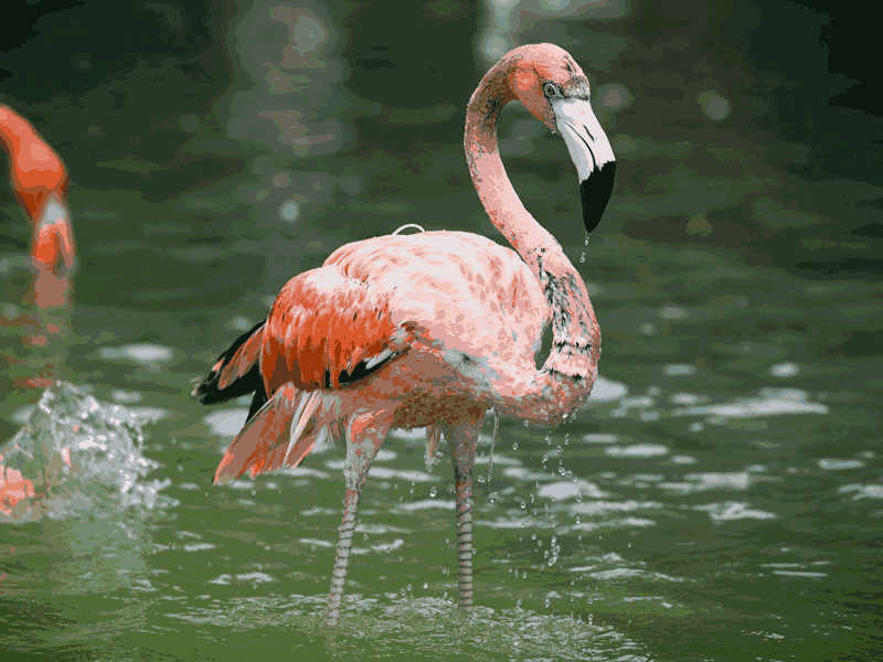 托福Official31阅读第1篇Speciation in Geographically Isolated Populations题目解析