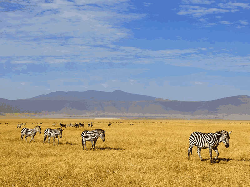 托福Official31阅读第3篇Savanna Formation题目解析